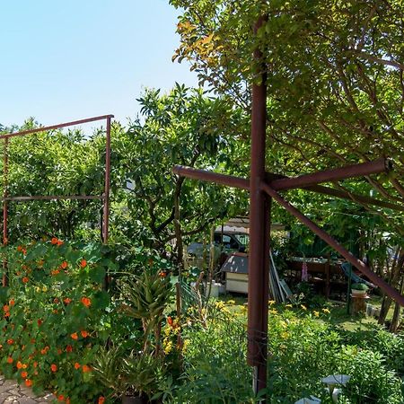 Apartments With A Parking Space Pula - 16053 Εξωτερικό φωτογραφία